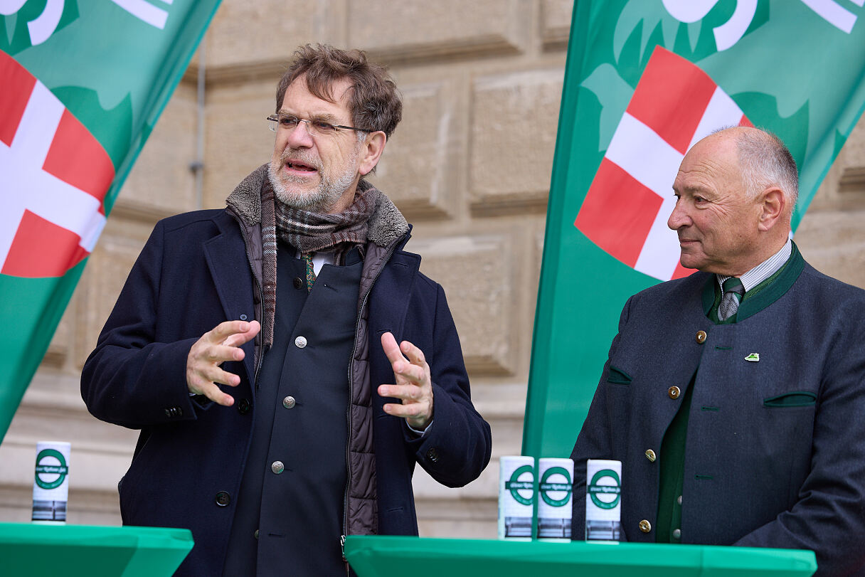Sensationsfund: Salzader beim Wiener Rathaus entdeckt